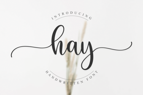 Hay: A Refined Script Font for Digital Branding