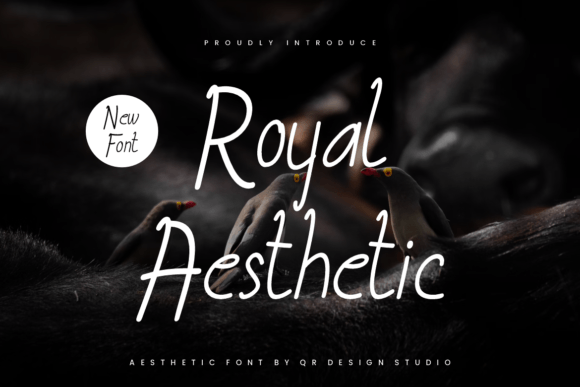 Royal Aesthetic: A Sweet, Friendly Handwritten Font for Real Branding