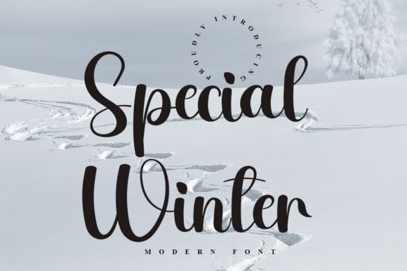 Special Winter: A Refined Script Font for Editorial Design