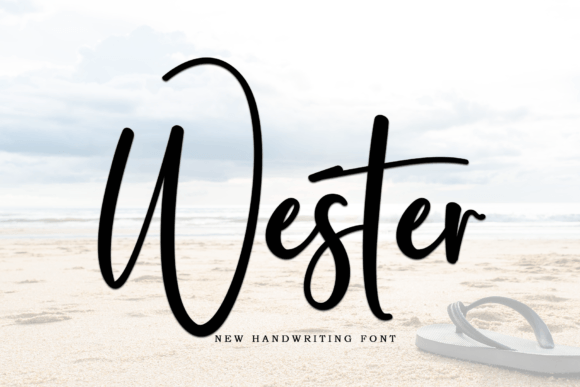 Wester: A Modern Typeface That Makes Your Brand Feel Intentional